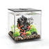 Starter Package for 6 to 8 Gallon Aquarium