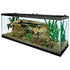 Starter Package for 40 to 50 Gallon Aquarium